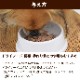 �ʥ�����ϡ��٥��� ��ȥ�ȡ� �ѥơ��ɡ��٥˥���