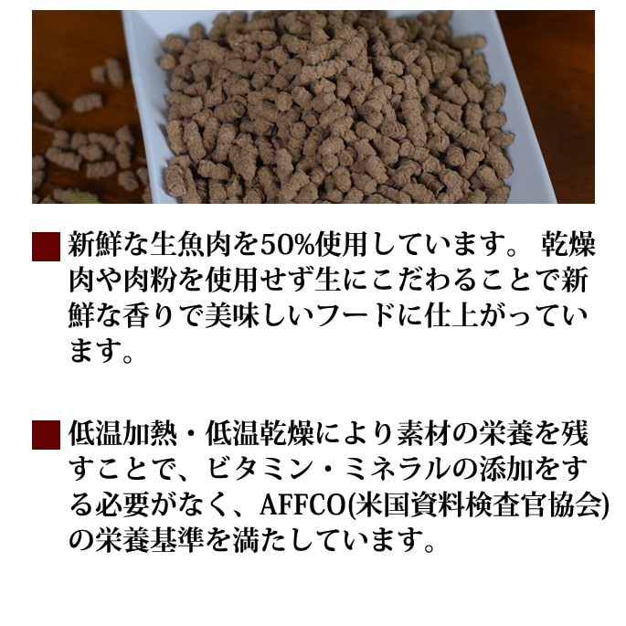 ̵ۥۥꥹƥåå󥰥ڥ3å ۡ