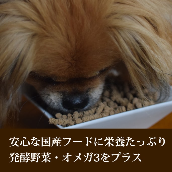 ̵ۥۥꥹƥåå󥰥ڥ3å ۡ