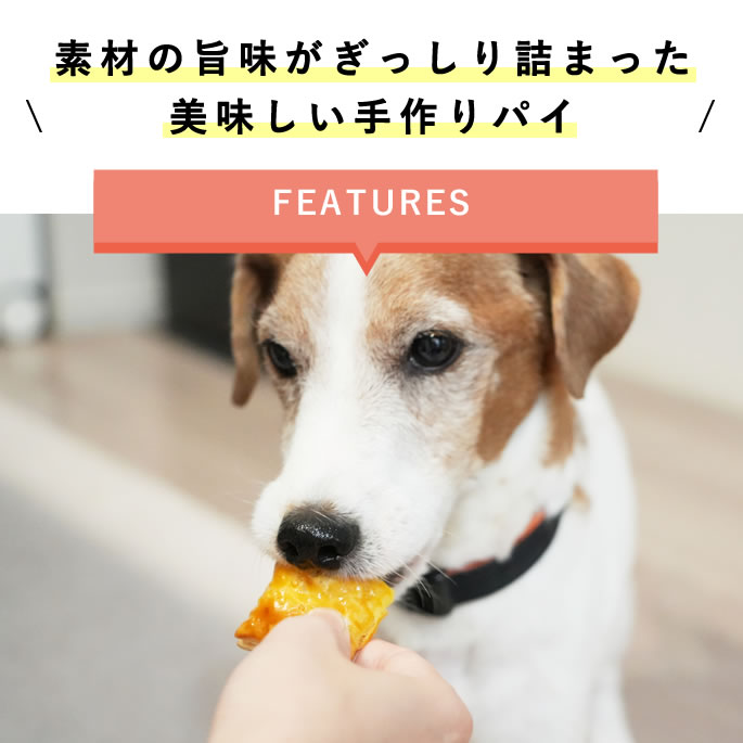 犬用おやつ 無添加 食堂の手作りパイ トリオ 3種 2 馬肉 サーモン リンゴ ハウンドカム食堂 ドッグフードの通販 帝塚山ハウンドカム