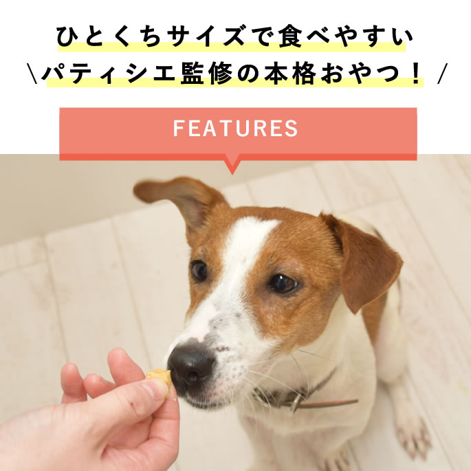 ��12�����۸���̵ź�ä���ġä��Ӥä��ߤ뤯�ѥ� 5��+1��