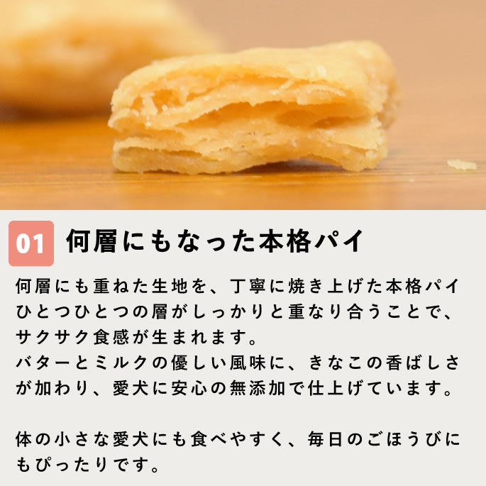 ��12�����۸���̵ź�ä���ġä��Ӥä��ߤ뤯�ѥ� 5��+1��