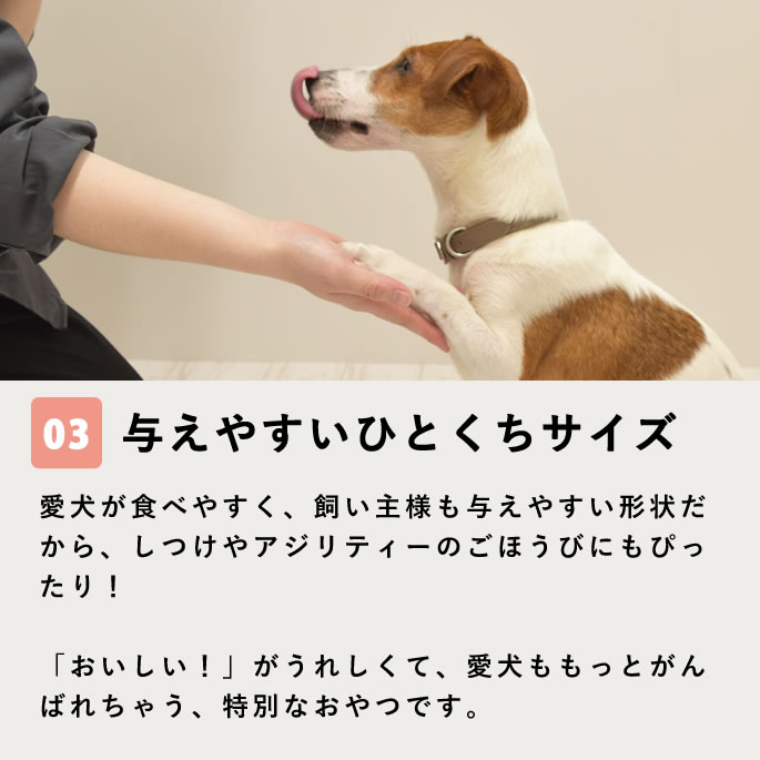 ��12�����۸���̵ź�ä���ġä��Ӥä��ߤ뤯�ѥ� 5��+1��