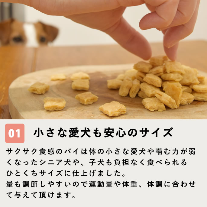 ��12�����۸���̵ź�ä���ġä��Ӥä��ߤ뤯�ѥ� 5��+1��