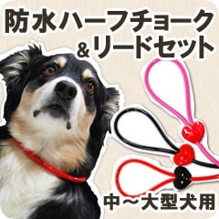 ���ѥϡ��ե��硼�����꡼�ɡ�ASHU ��֥꡼�쥤��ϡ��ե��硼�����꡼�ɥ��åȡ�����緿����