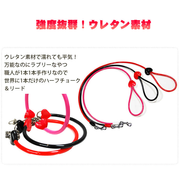 ���ѥϡ��ե��硼�����꡼�ɡ�ASHU ��֥꡼�쥤��ϡ��ե��硼�����꡼�ɥ��åȡ�����緿����