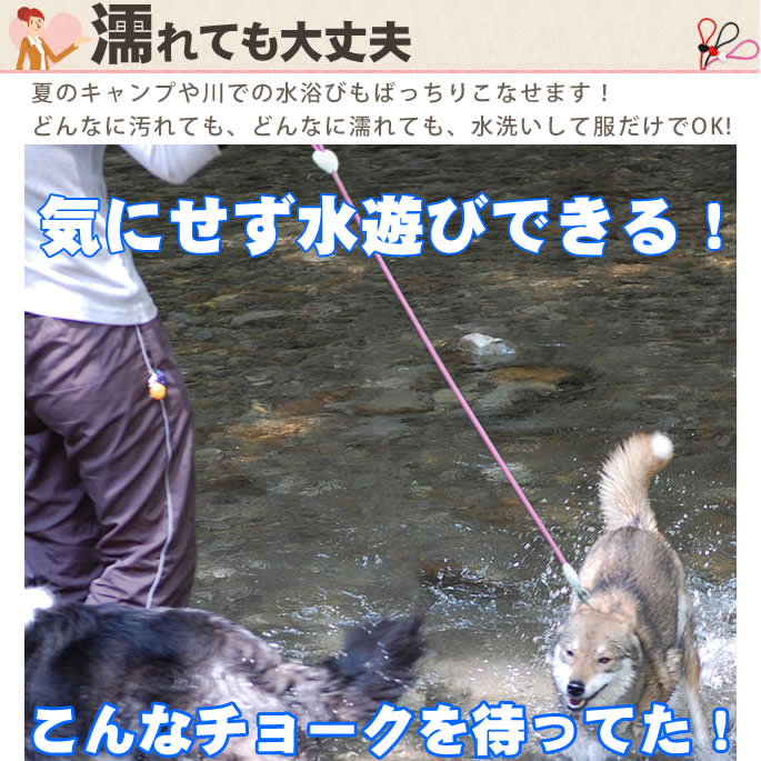���ѥϡ��ե��硼�����꡼�ɡ�ASHU ��֥꡼�쥤��ϡ��ե��硼�����꡼�ɥ��åȡ�����緿����
