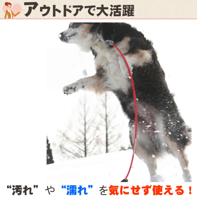 ���ѥϡ��ե��硼�����꡼�ɡ�ASHU ��֥꡼�쥤��ϡ��ե��硼�����꡼�ɥ��åȡ�����緿����