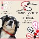 ���ѥϡ��ե��硼�����꡼�ɡ�ASHU ��֥꡼�쥤��ϡ��ե��硼�����꡼�ɥ��åȡ�����緿����