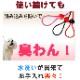 ���ѥϡ��ե��硼�����꡼�ɡ�ASHU ��֥꡼�쥤��ϡ��ե��硼�����꡼�ɥ��åȡ�����緿����