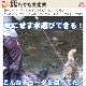 ���ѥϡ��ե��硼�����꡼�ɡ�ASHU ��֥꡼�쥤��ϡ��ե��硼�����꡼�ɥ��åȡ�����緿����