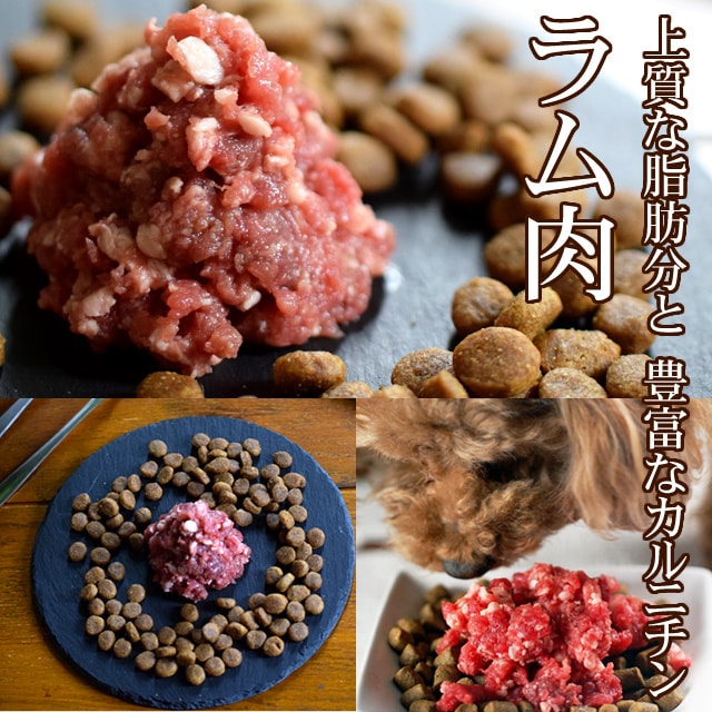 �ڤ�����������ۿ͵�����4�糧�å�