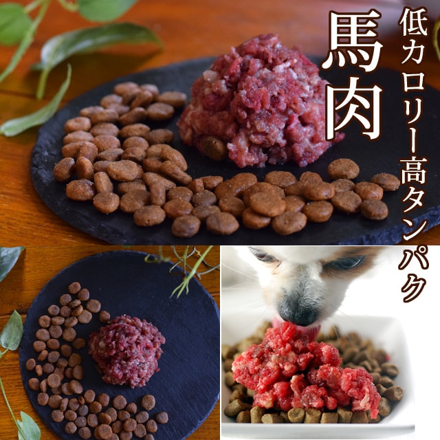 �ڤ�����������ۿ͵�����4�糧�å�