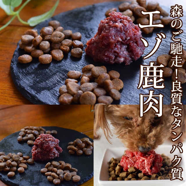 �ڤ�����������ۿ͵�����4�糧�å�