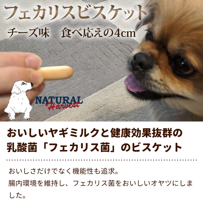 ナチュラルハーベスト おやつ|フェカリスビスケット チーズ 犬用クッキー ナチュラルハーベスト おやつ|フェカリスビスケット チーズ 犬用クッキー