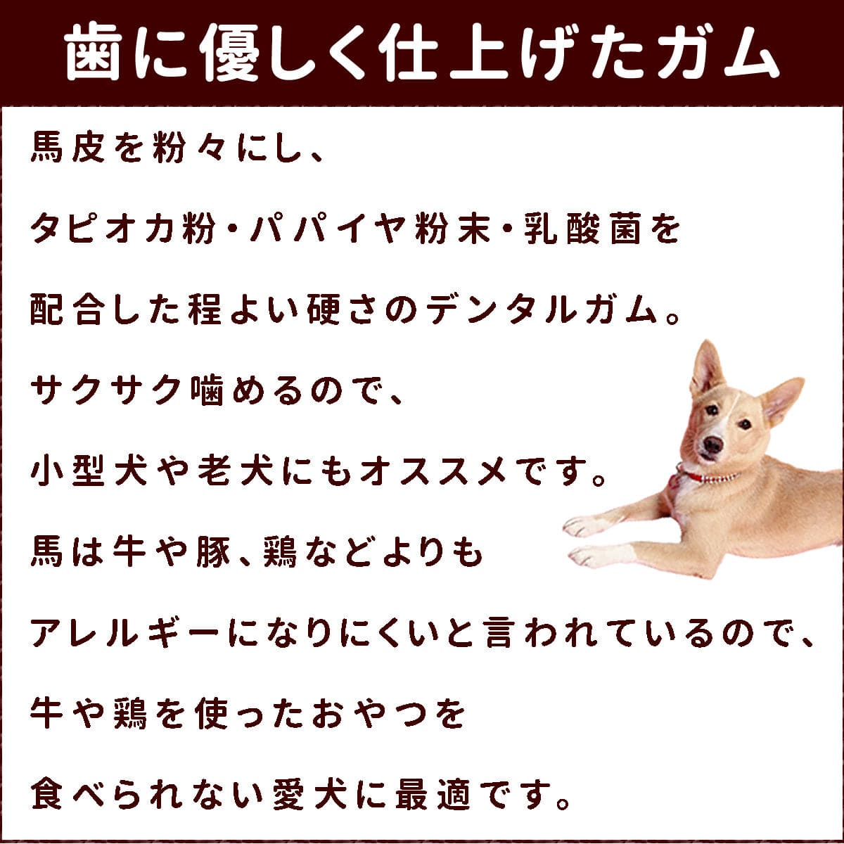 �����ѥ��� ���饵�������ǥ󥿥륬��