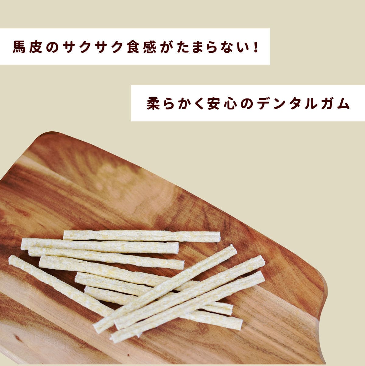 �����ѥ��� ���饵�������ǥ󥿥륬��