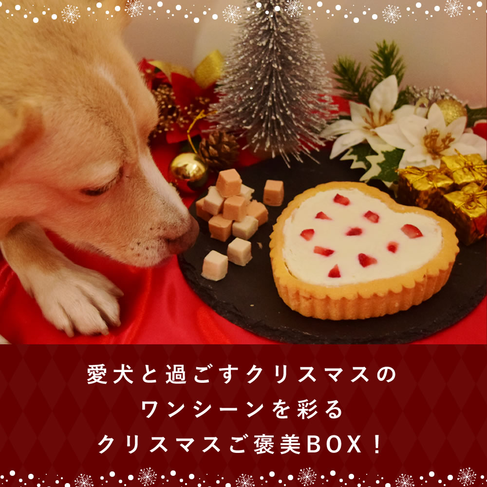 ������£�롡����ȥ������Τ�˫�����ꥹ�ޥ�BOX�å��ꥹ�ޥ������12���ܤ��缡ȯ���� �ϥ���ɥ��࿩Ʋ ��ͽ���ʤ�Ʊ���ˤ���ʸ���������ޤ�����������ͽ���ʤ�ȯ������Ʊ��ȯ���Ȥʤ�ޤ���