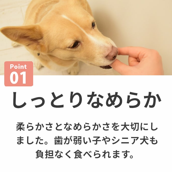 ǭ ̵źä  ȤäƤΤҤȤƥ꡼ ȥ  ڥϥɥ࿩Ʋ 