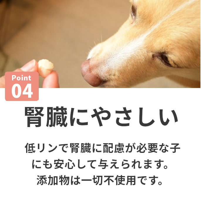 ǭ ̵źä  ȤäƤΤҤȤƥ꡼ ȥ  ڥϥɥ࿩Ʋ 