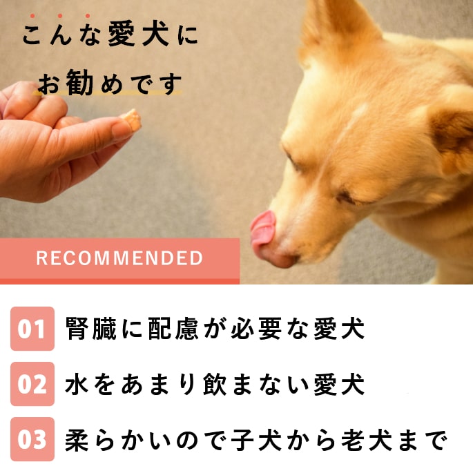 ǭ ̵źä  ȤäƤΤҤȤƥ꡼ ȥ  ڥϥɥ࿩Ʋ 