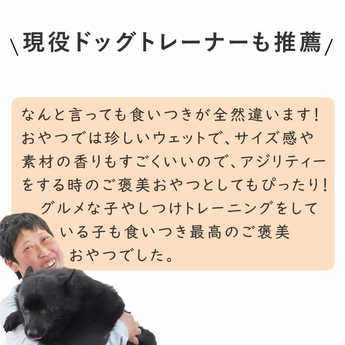 ǭ ̵źä  ȤäƤΤҤȤƥ꡼ ȥ  ڥϥɥ࿩Ʋ 