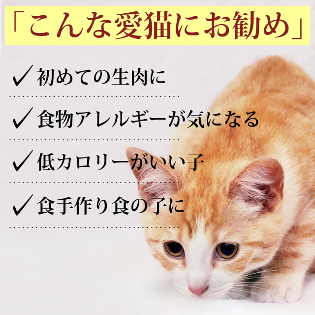 ǭ  1kg ʬȥ졼̵ѥå