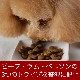 ȥ饤ץɥ饤ɥåաɡ꡼ȥ饤ץåɥߡȡ907gڽ̵