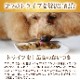 ȥ饤ץɥ饤ɥåաɡ꡼ȥ饤ץåɥߡȡ907gڽ̵