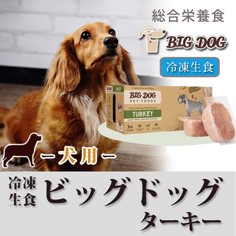 ���� �����åӥå��ɥå� ���������ڥ���������12��������륮���λҤˤ���θ��