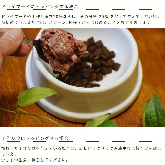 ���� �����åӥå��ɥå� ���������ڥ���������12��������륮���λҤˤ���θ��