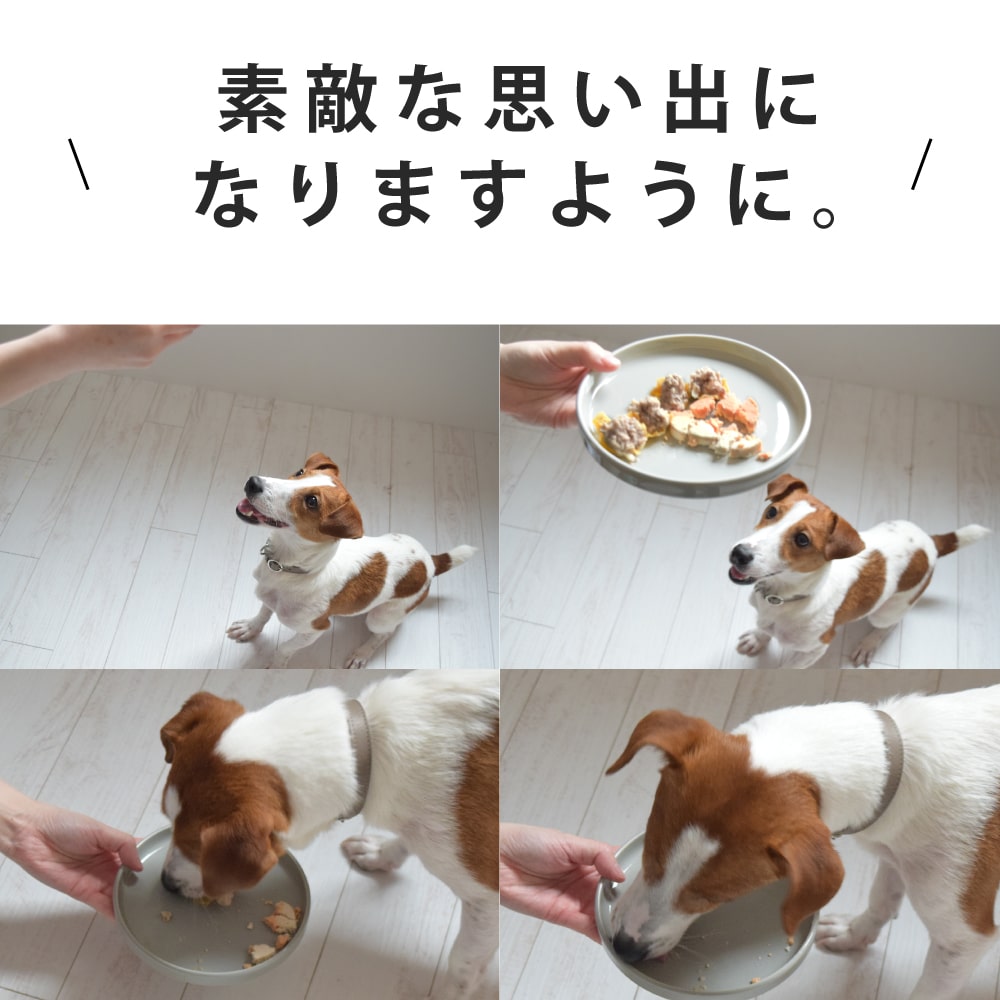 ������ι���Ѥ���������󤳤�ι��������������