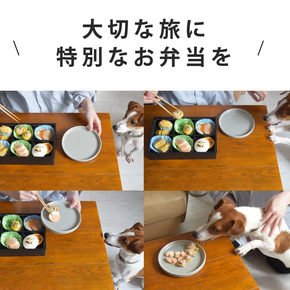 ������ι���Ѥ���������󤳤�ι��������������