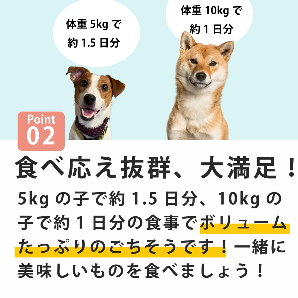 ������ι���Ѥ���������󤳤�ι��������������