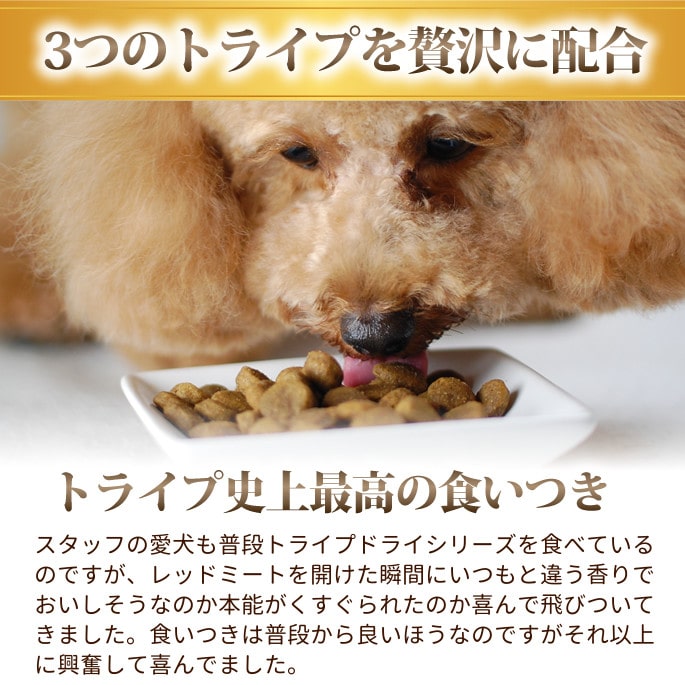 �ȥ饤�ץɥ饤���ɥå��ա��ɡ����꡼��ȥ饤�� ��åɥߡ��ȡ�2.72��g�����������Ǥ��ޤ���