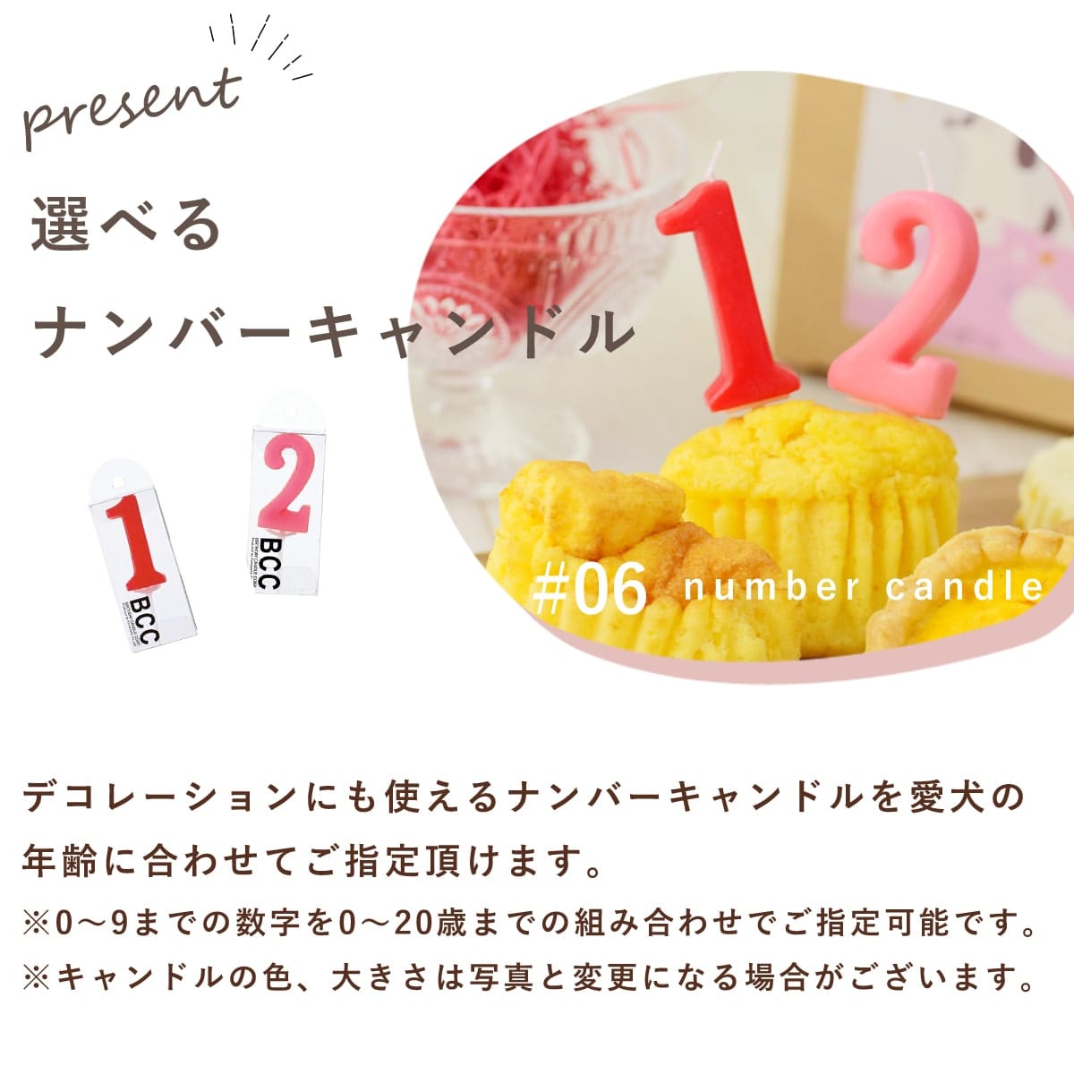 ѡϥåԡСǡ Ĥäפꥻå ꥹĤȥեå 5ʷ10ġ˥åȡڥϥɥ࿩Ʋۡڢ̾Բġۡء