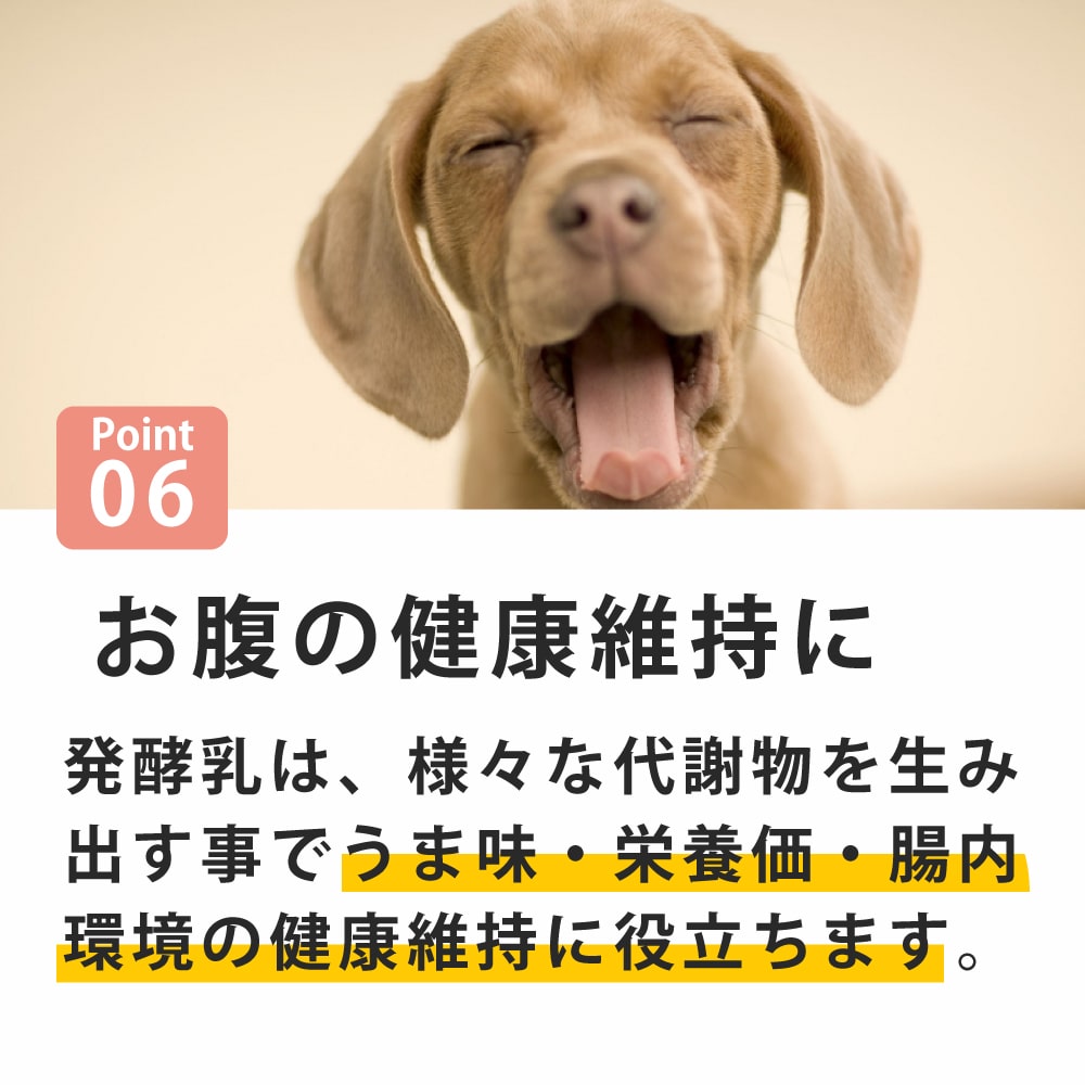 ̵źøġդ꤫ 𸶤Υ衼ȡ40g 1 / 5 / 10ޡ1