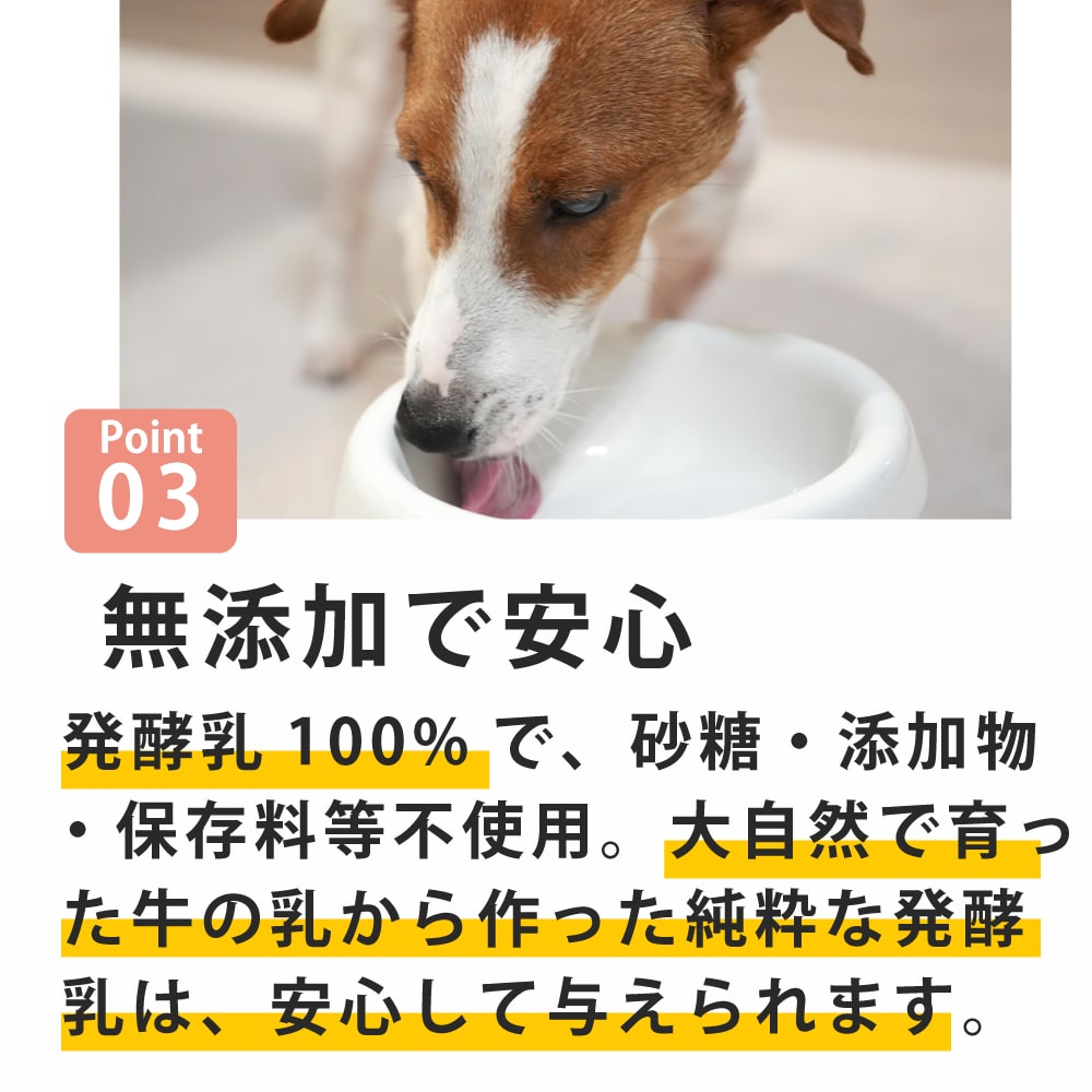 ̵źøġդ꤫ 𸶤Υ衼ȡ40g 1 / 5 / 10ޡ1