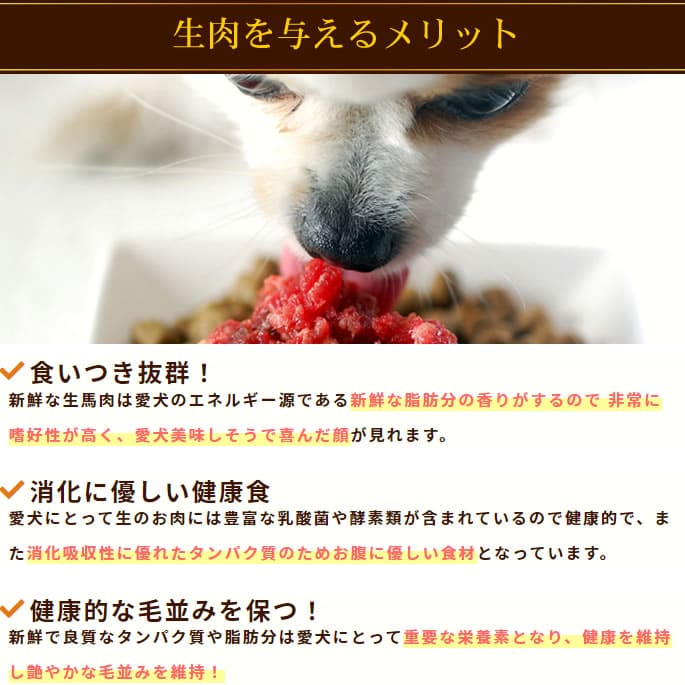 ǭ ͵ͤ碌å [ñ꿩]