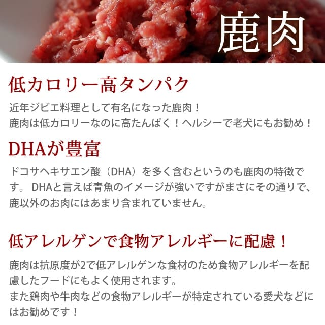 ǭ ͵ͤ碌å [ñ꿩]