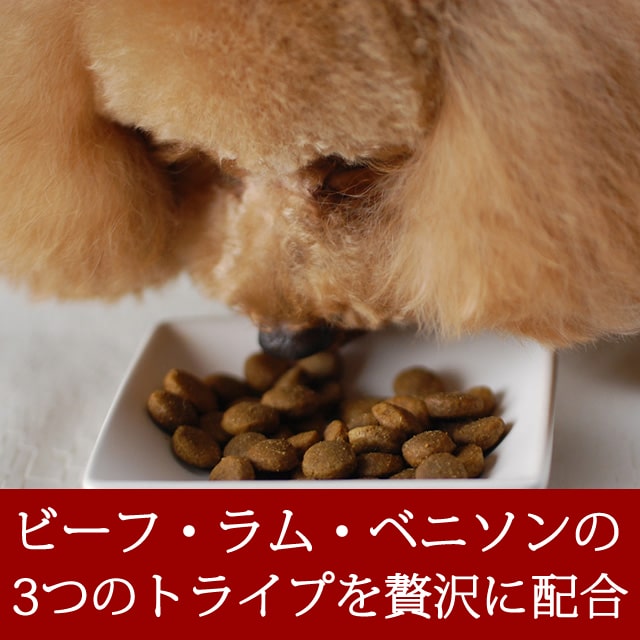 ������̵�������ޤ��աۥȥ饤�ץɥ饤���ɥå��ա��ɡ���åɥߡ��ȡ�2.72kg2�� �����������Ǥ��ޤ���