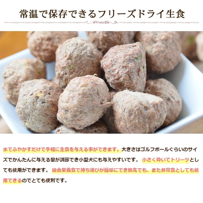 バイトサイズダイエット フリーズドライ ラム フレーバー 500g