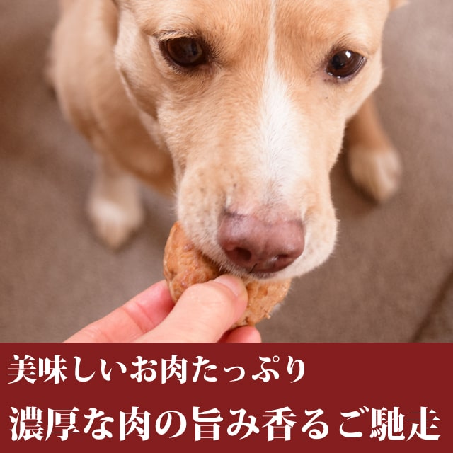 ۸ǭѥϥСùڥХϥС 530g5ġ