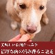 ۸ǭѥϥСùڥХϥС 530g5ġ