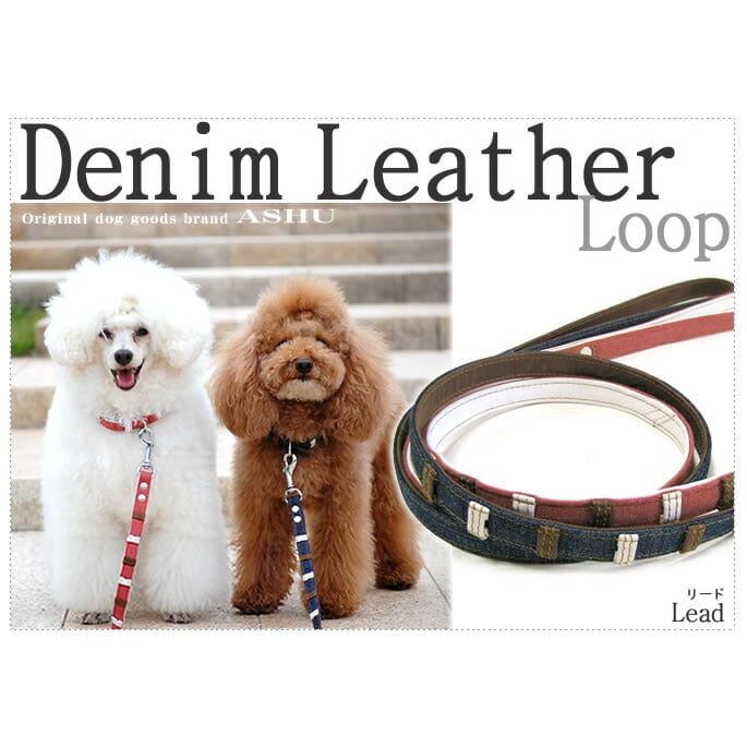 �������ѥ꡼�ɡ�ASHU���ǥ˥�쥶���롼�ס�[�꡼��]����������S