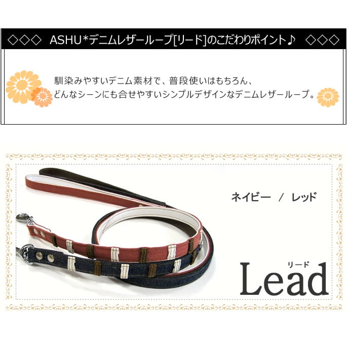 �������ѥ꡼�ɡ�ASHU���ǥ˥�쥶���롼�ס�[�꡼��]����������S