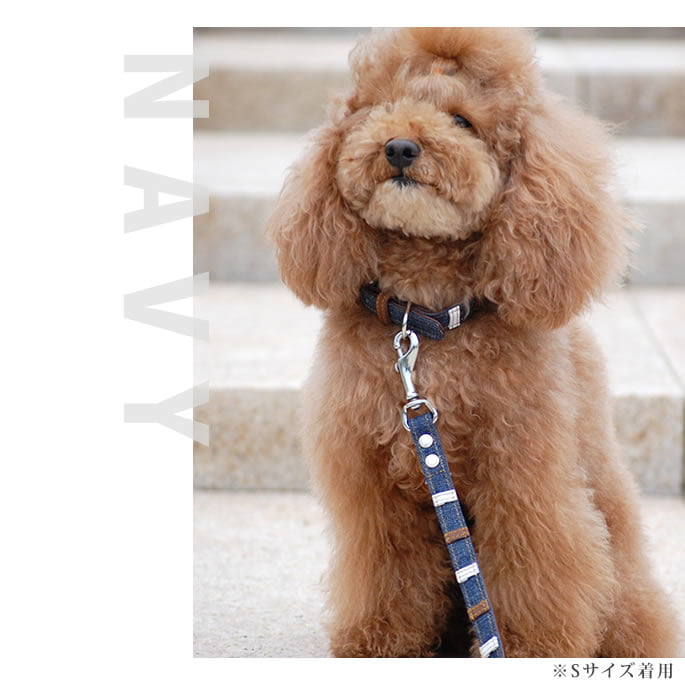 �������ѥ꡼�ɡ�ASHU���ǥ˥�쥶���롼�ס�[�꡼��]����������S