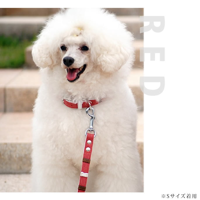 �������ѥ꡼�ɡ�ASHU���ǥ˥�쥶���롼�ס�[�꡼��]����������S