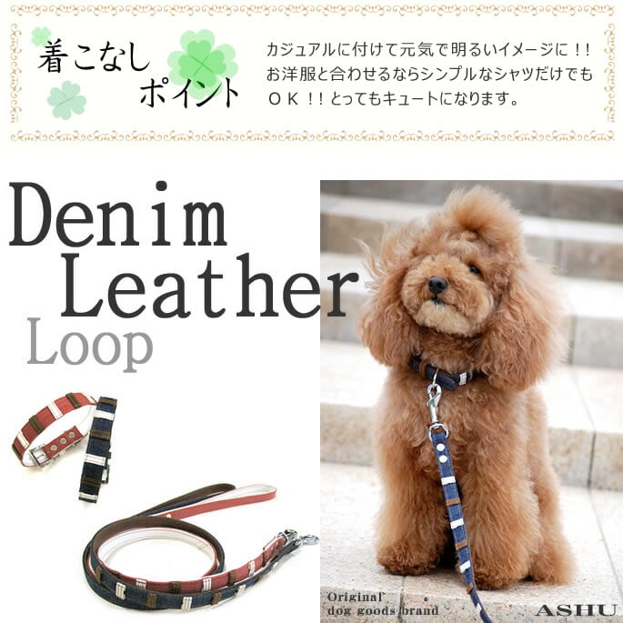 �������ѥ꡼�ɡ�ASHU���ǥ˥�쥶���롼�ס�[�꡼��]����������S