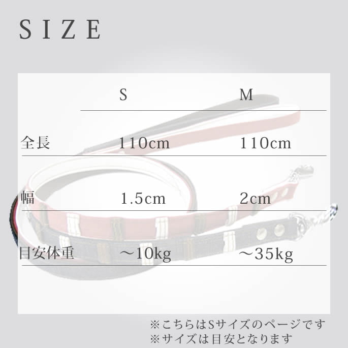 �������ѥ꡼�ɡ�ASHU���ǥ˥�쥶���롼�ס�[�꡼��]����������S